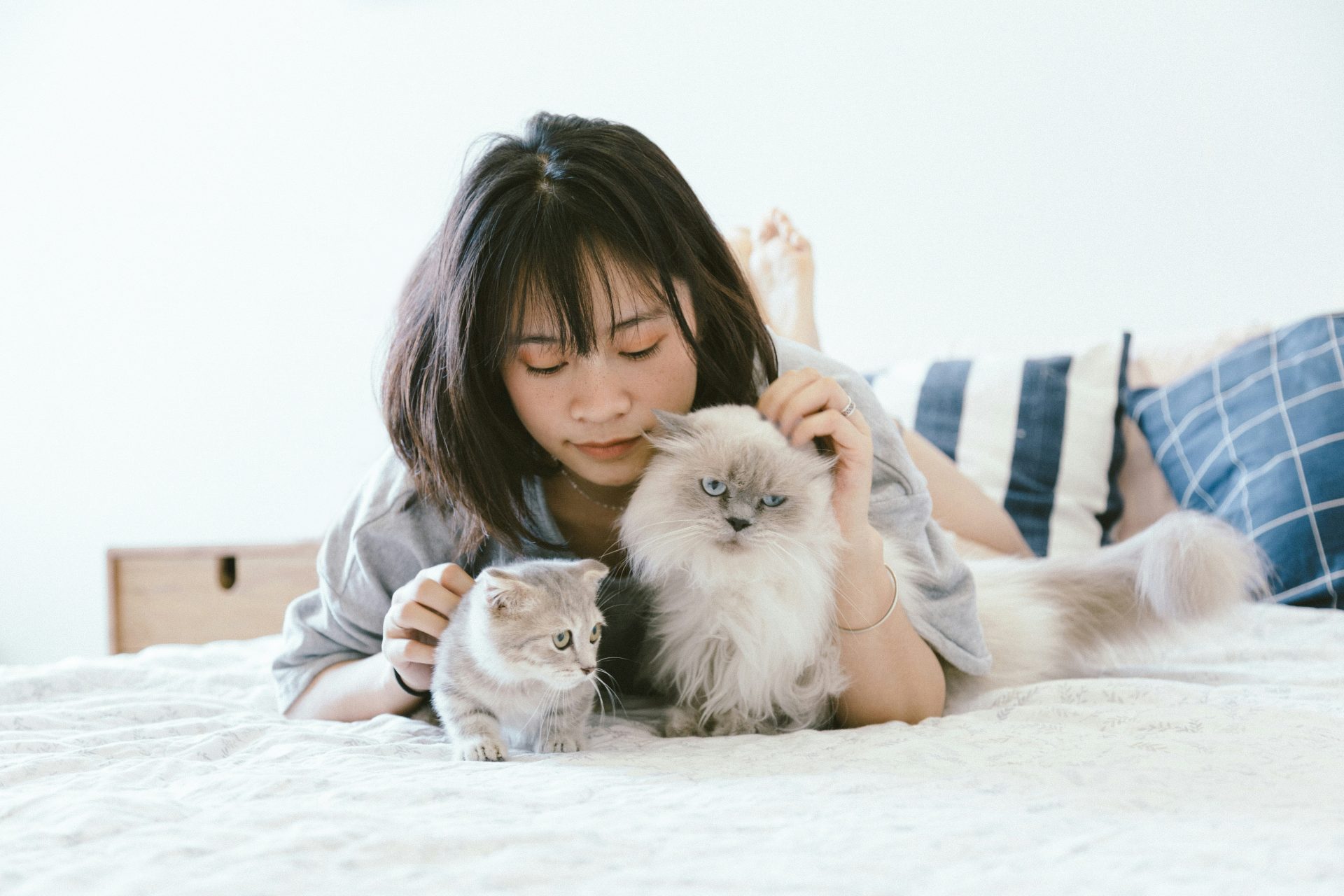 Woman lying on bed with two fluffy cats