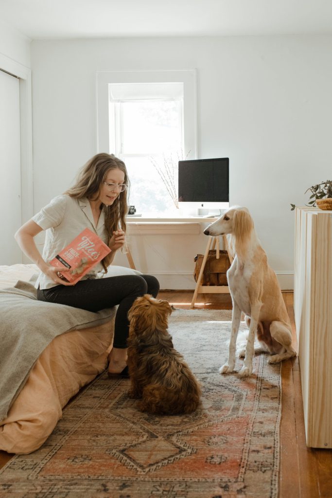 Woman offering treats to two dogs indoors