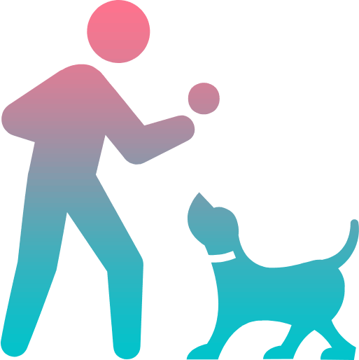 Person playing with a dog